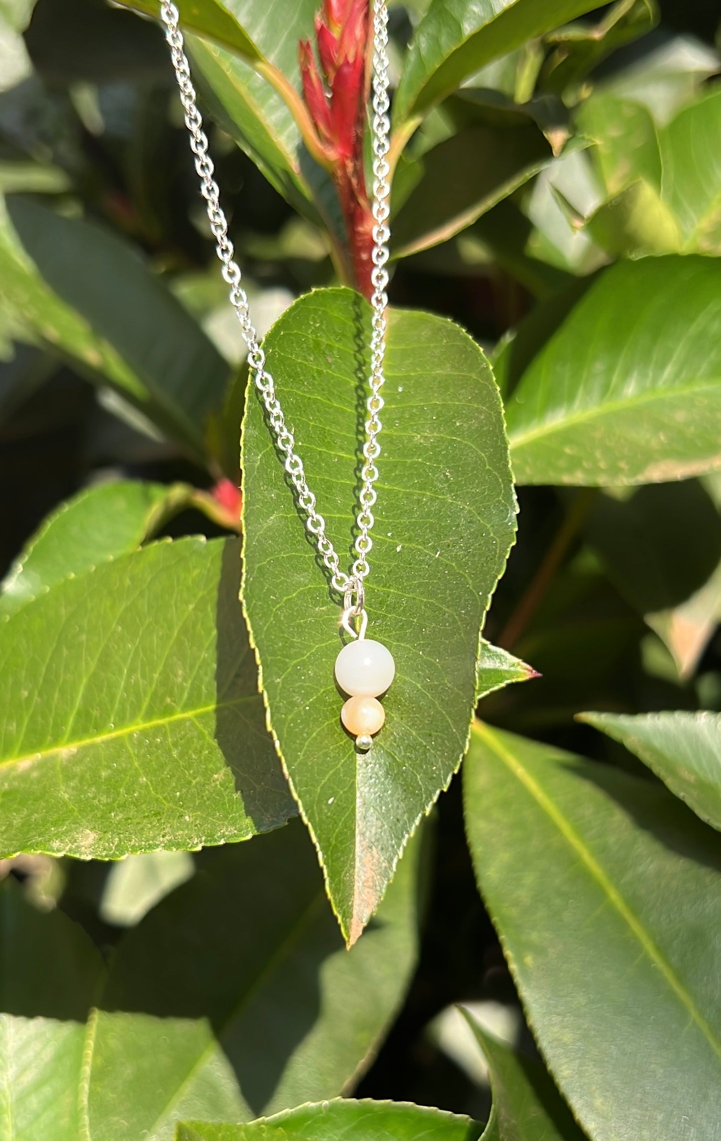 Shell Double • 925 Sterling Silver