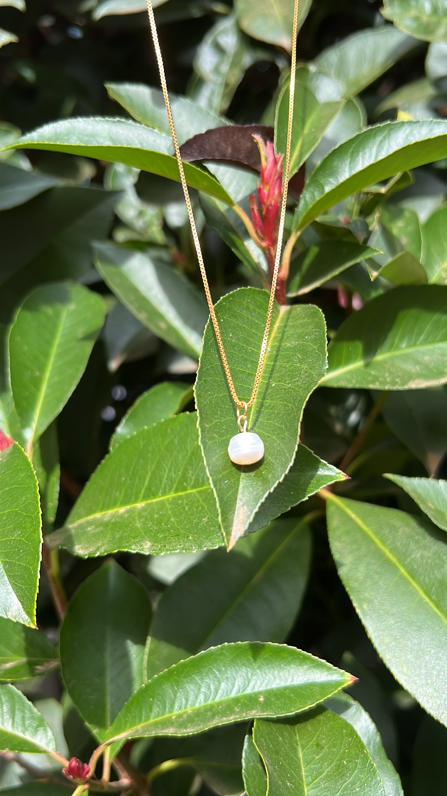 Solo Pearl • 18K Gold Filled