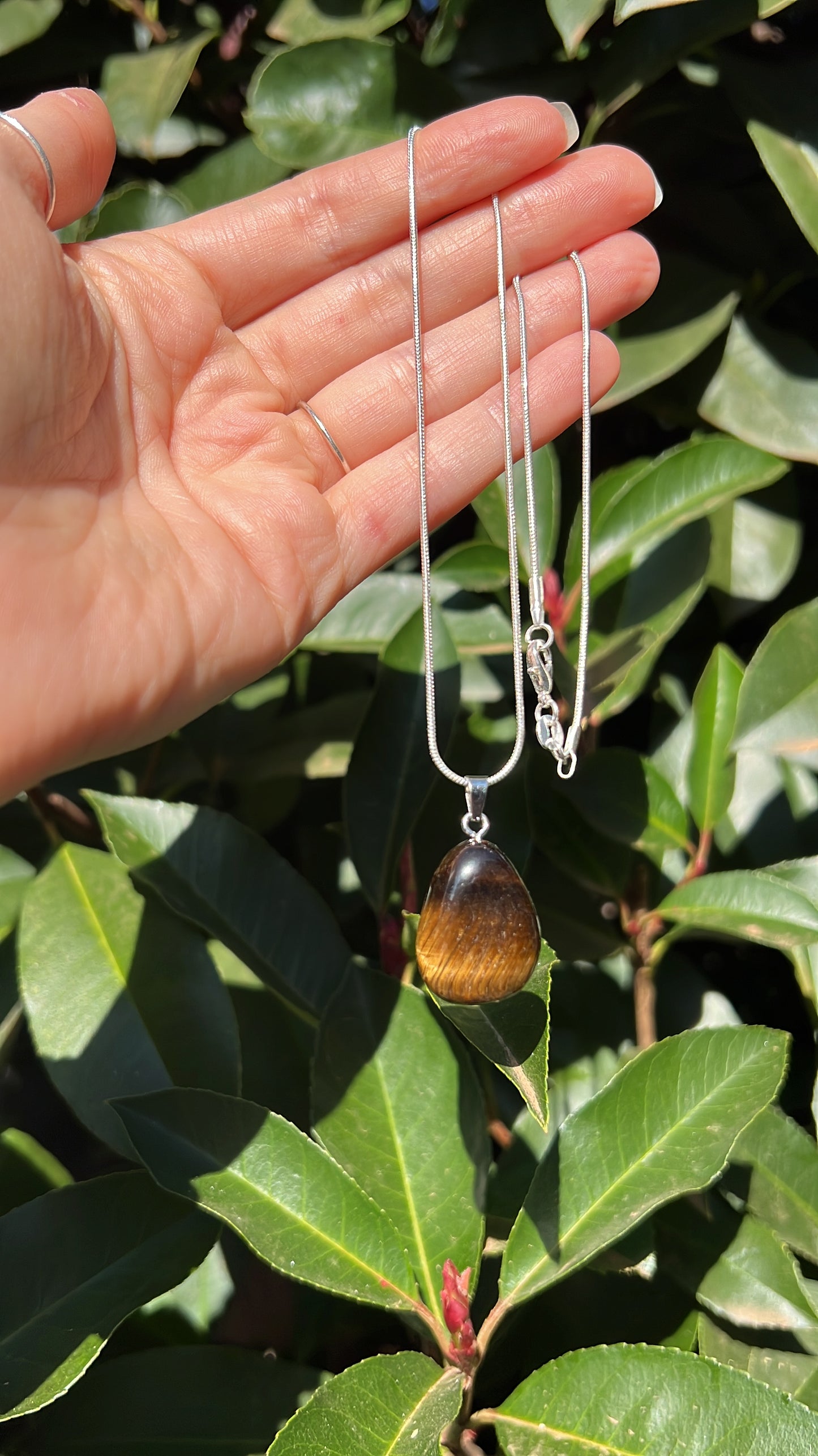 Tiger Eye Drop • 925 Sterling Silver