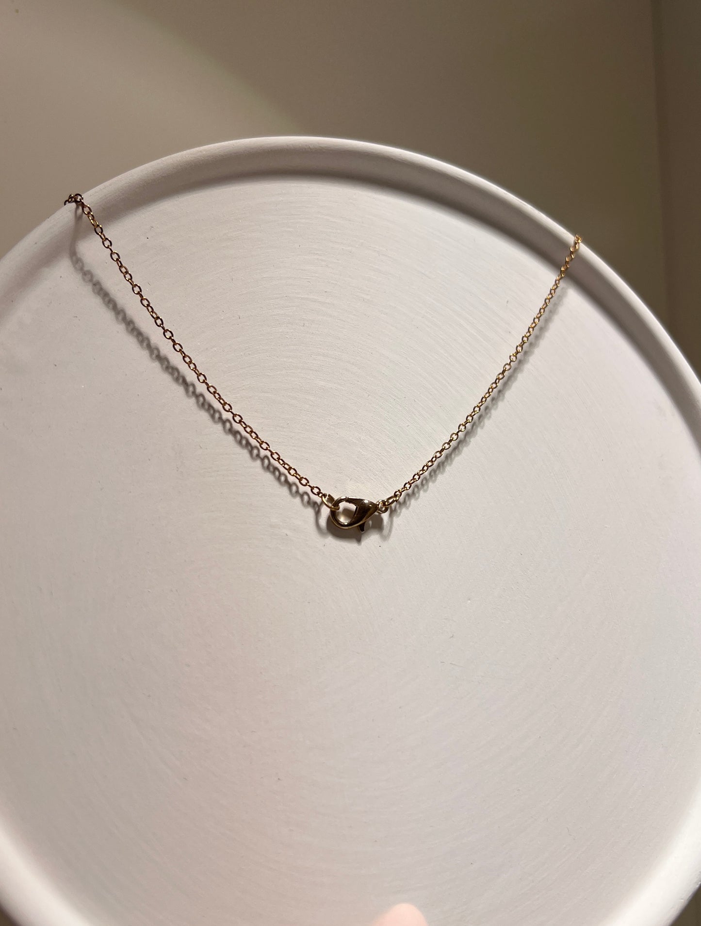 Necklace on a white plate with a neutral background