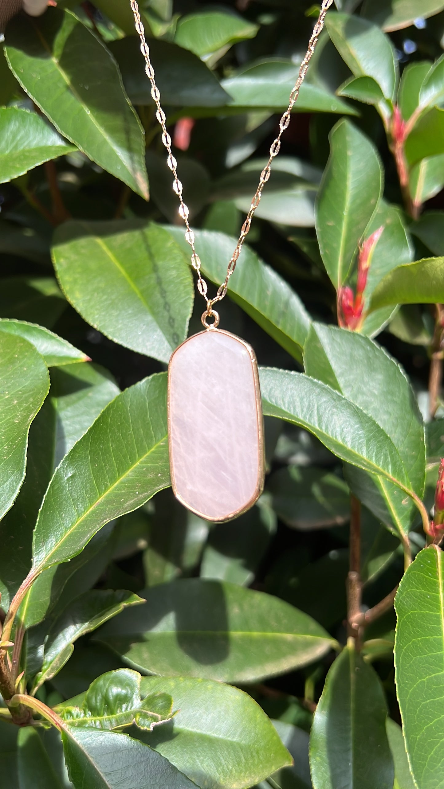 Healing x Relationships Combo • Necklace & Earrings • Rose Quartz & 18K Gold Plated