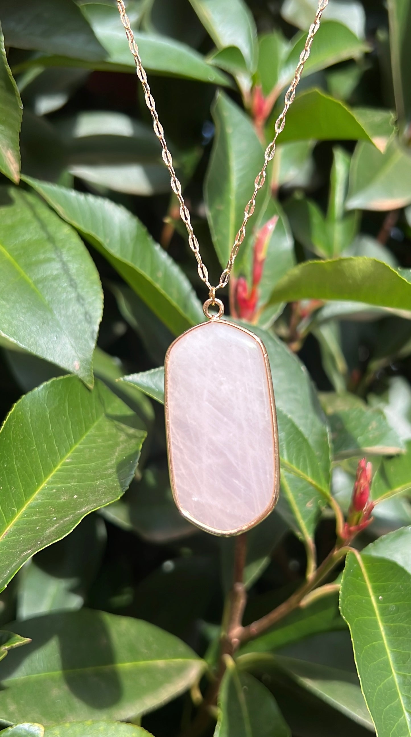 Healing x Relationships Combo • Necklace & Earrings • Rose Quartz & 18K Gold Plated