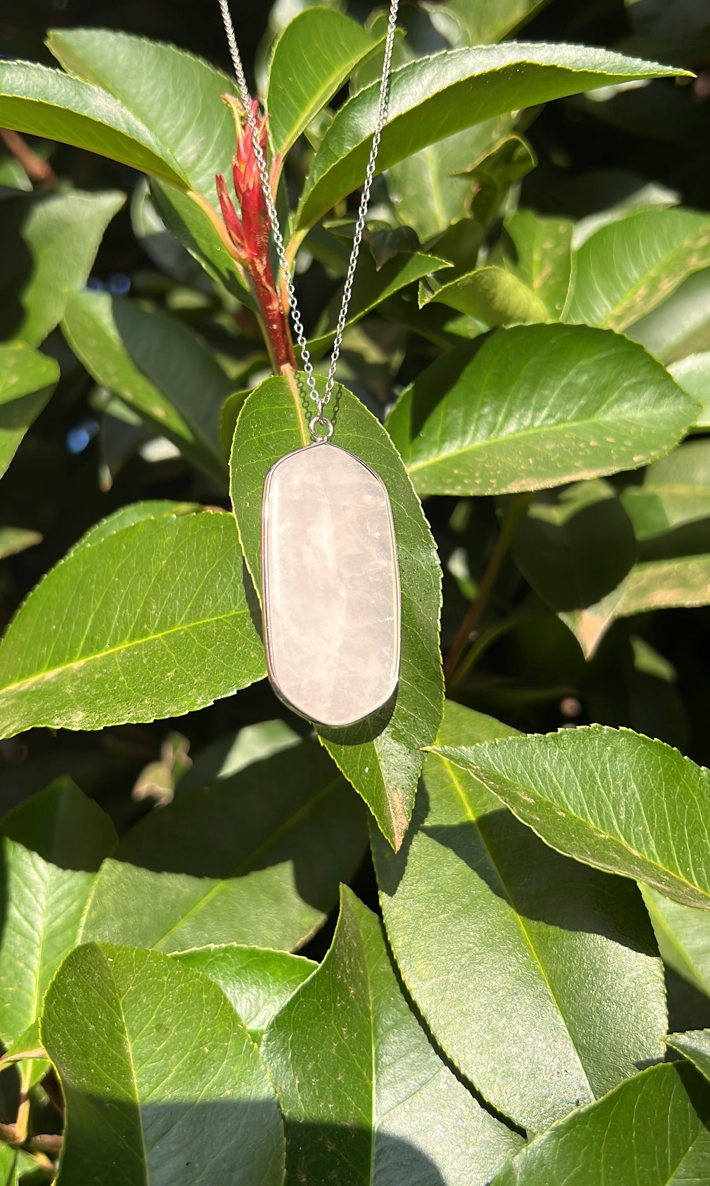 Sensuality x Femininity • Necklace • Rose Quartz & 925 Sterling Silver