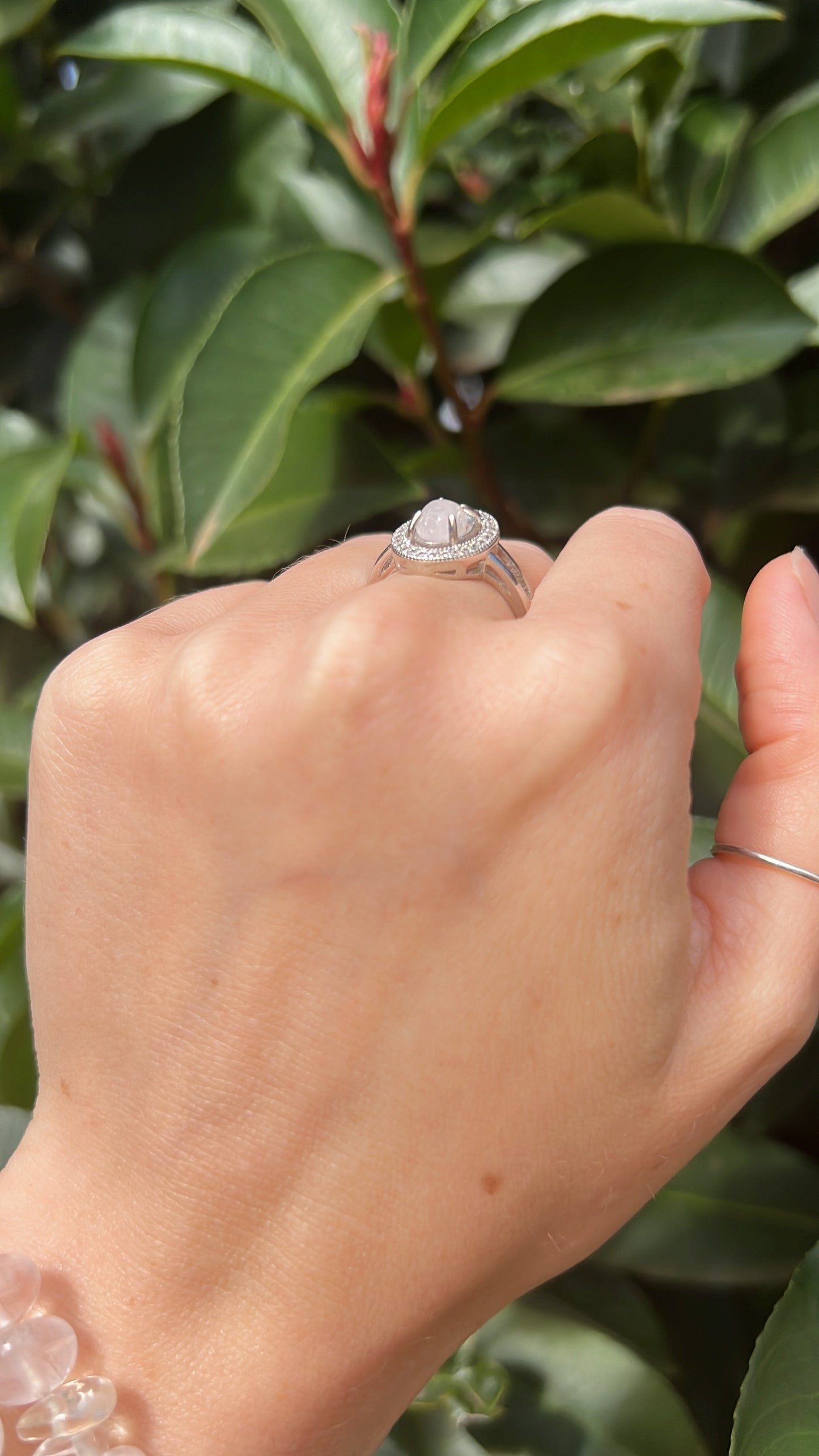 Rose Quartz Oval •  925 Sterling Silver