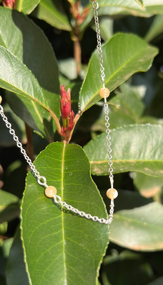 Shell choker necklace 