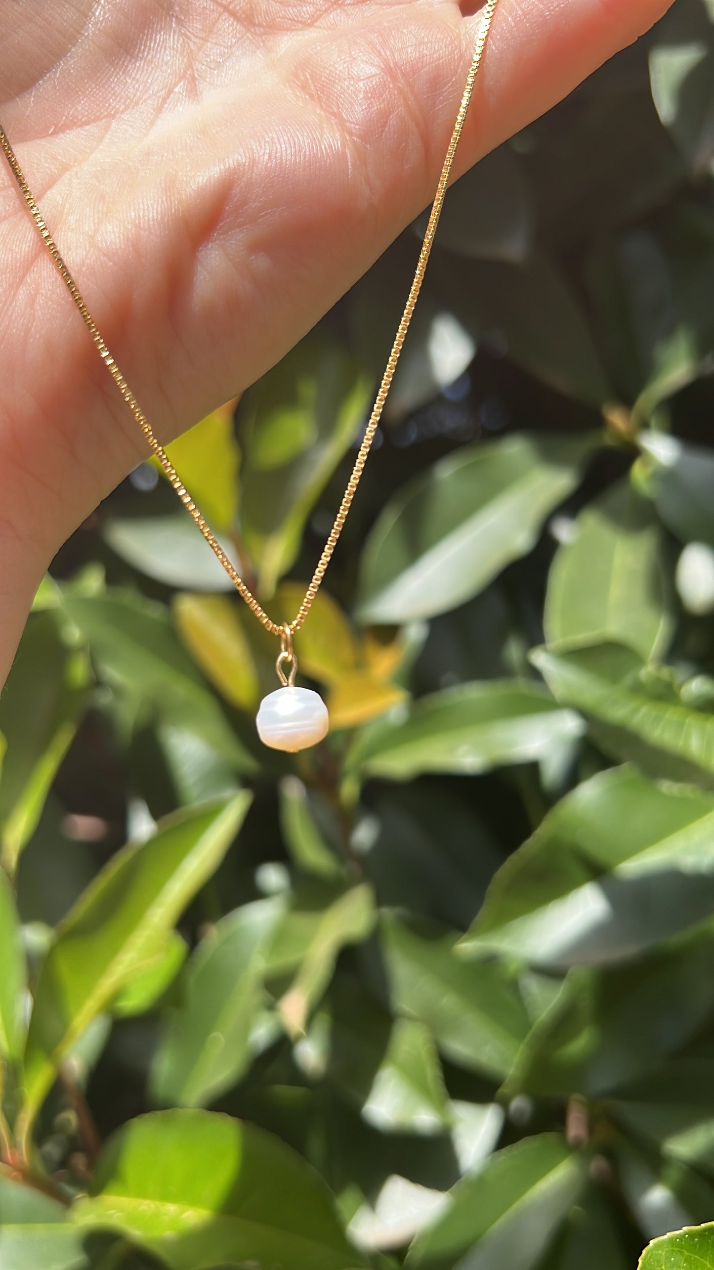 Solo Pearl • 18K Gold Filled