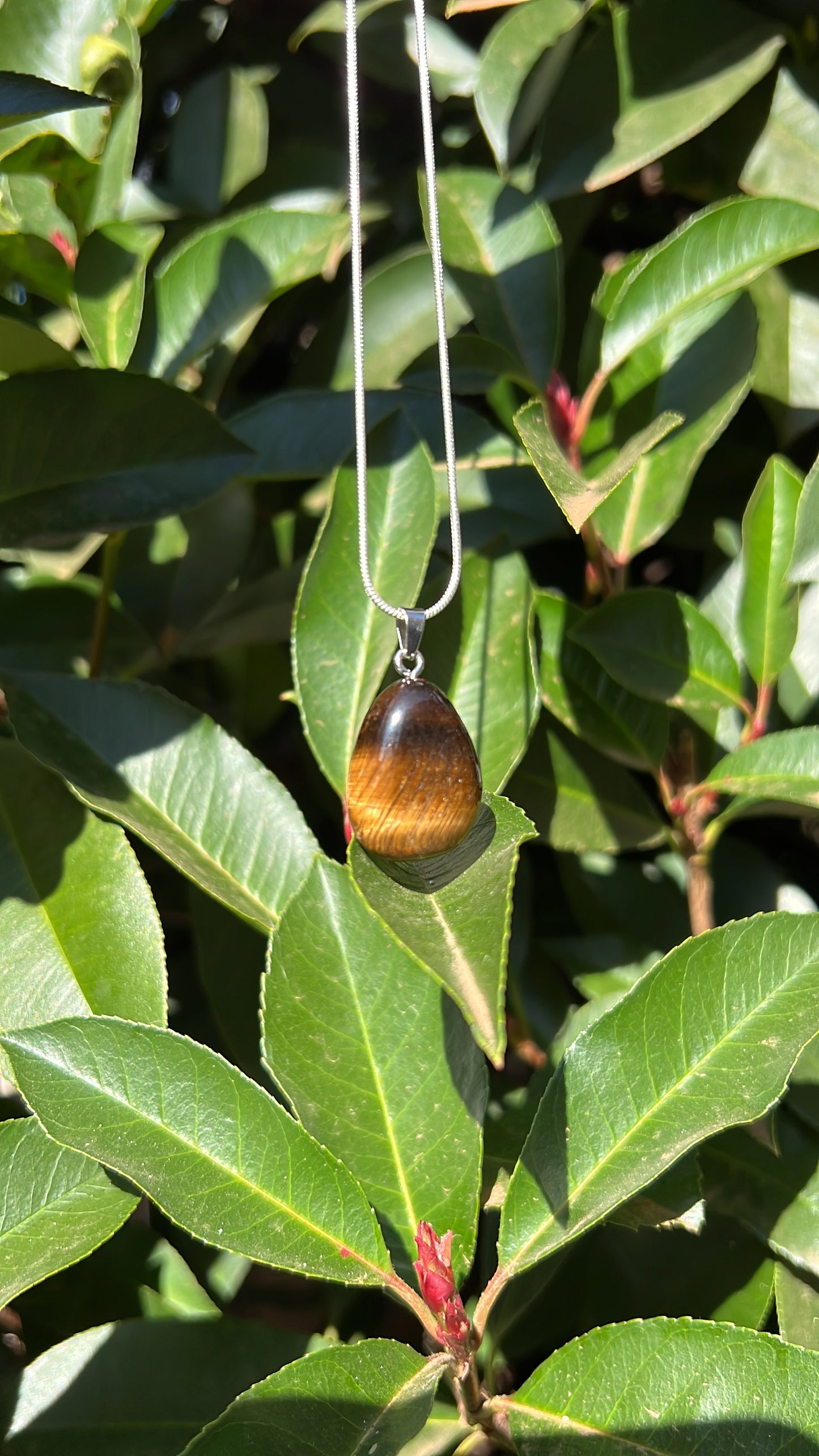 Tiger Eye Drop • 925 Sterling Silver