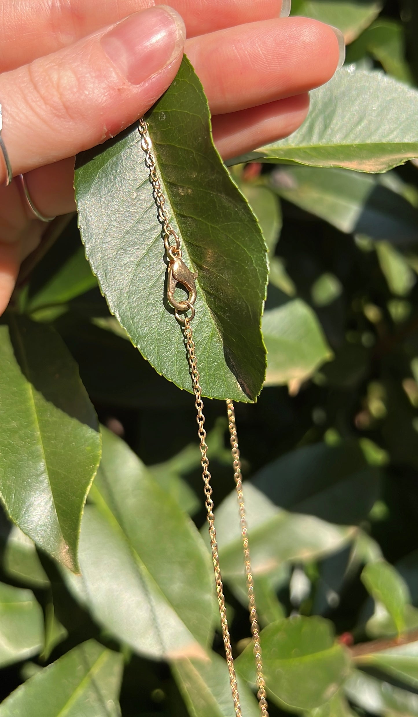 Self-Expression, Dreams & Balance • Necklace • Amazonite