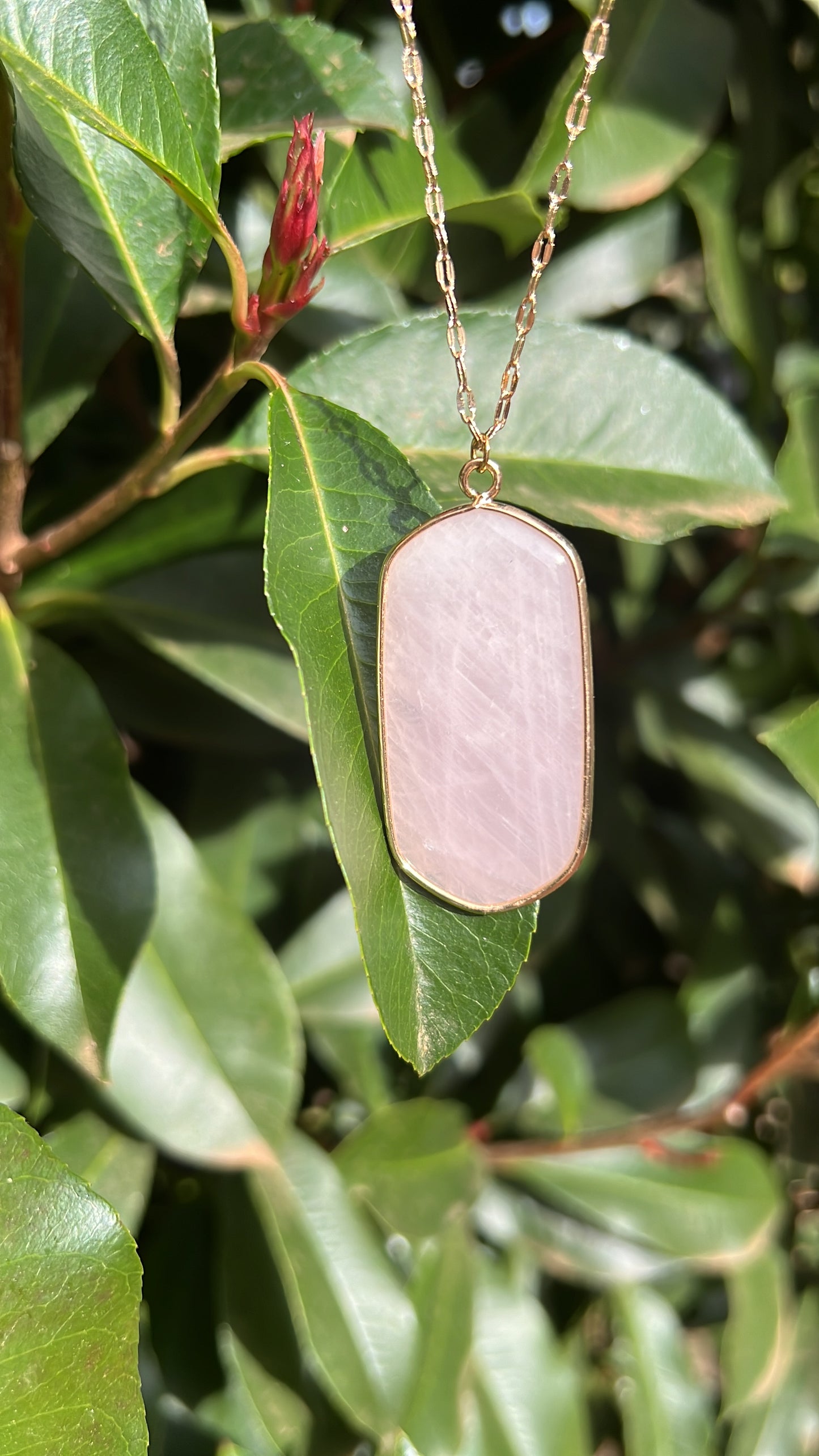 Healing x Relationships Combo • Necklace & Earrings • Rose Quartz & 18K Gold Plated